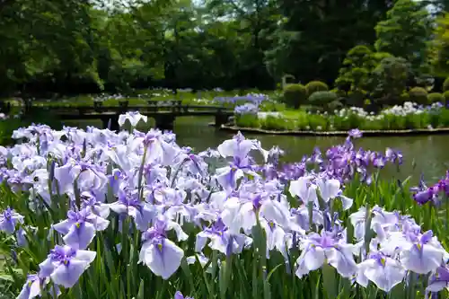 伊佐須美神社(福島県)