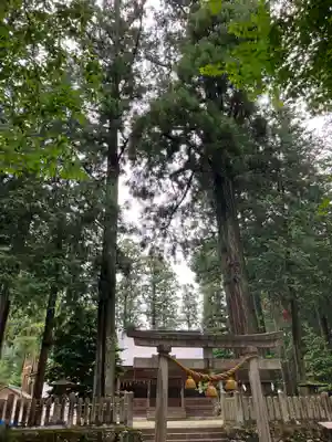 荒城神社(岐阜県)