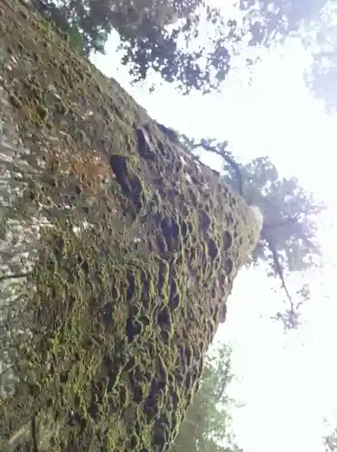 伊勢神宮内宮（皇大神宮）(三重県)