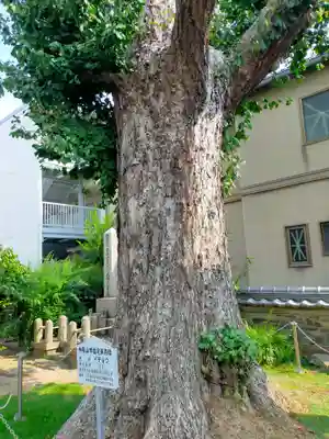 玄通寺(和歌山県)