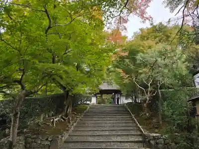 安楽寺(京都府)