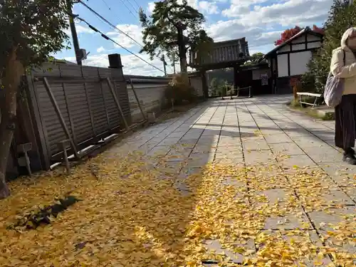 霊鑑寺門跡(京都府)