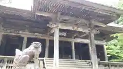 黒石寺の狛犬