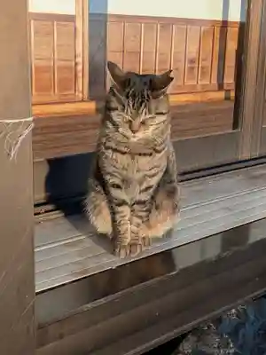 唐澤山神社(栃木県)