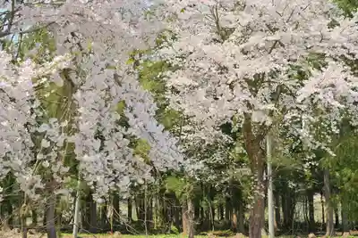 妙高寺(新潟県)