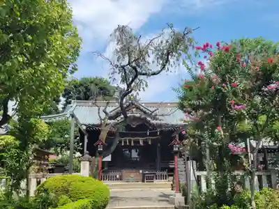 白山神社の本殿・本堂