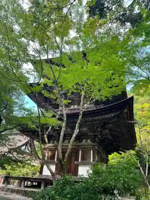西明寺(滋賀県)