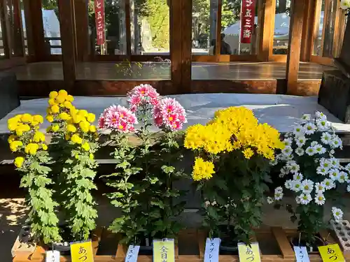 穂高神社本宮(長野県)