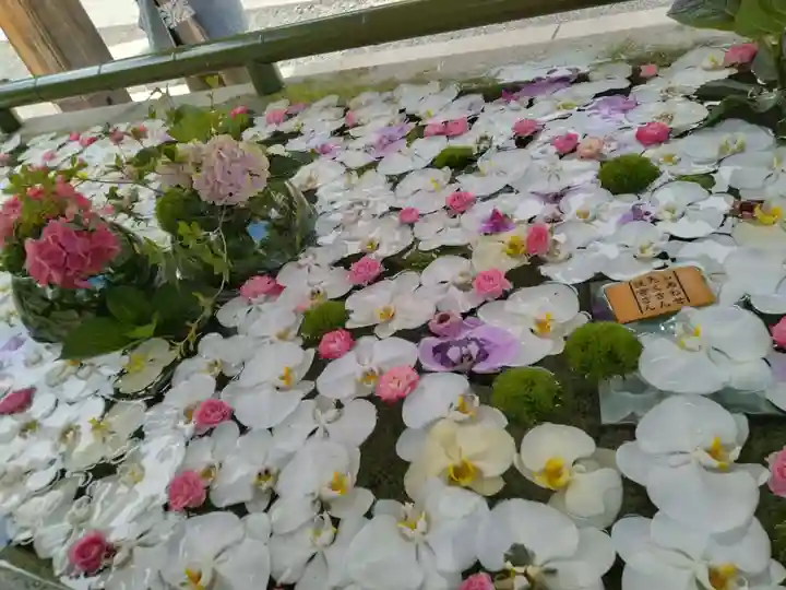 住吉神社の手水舎