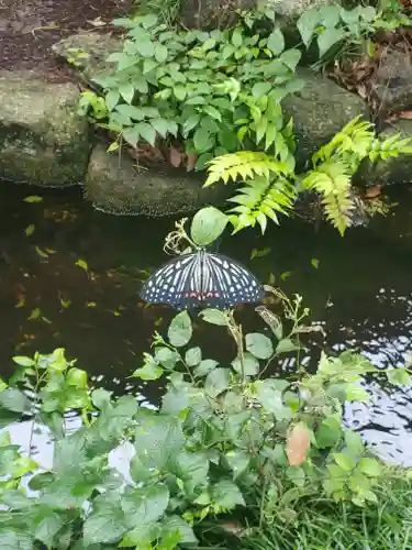 冠稲荷神社の庭園