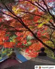 普門寺(切り絵御朱印発祥の寺)の自然