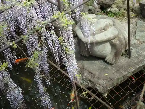 長泉寺の狛犬