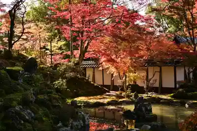 西明寺(滋賀県)