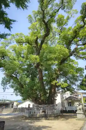 船守神社(大阪府)
