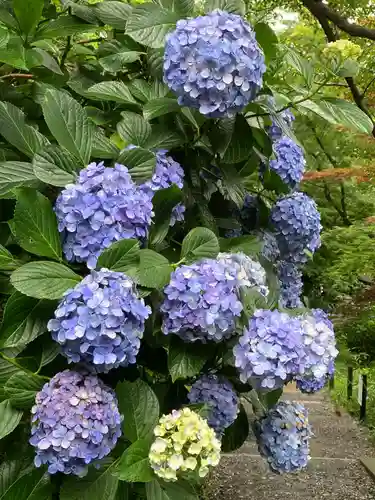 高幡不動尊　金剛寺(東京都)