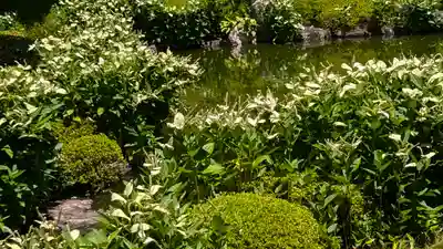 両足院(京都府)