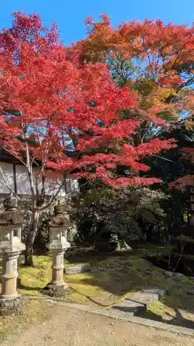 西明寺(京都府)