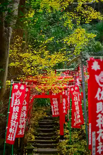 佐助稲荷神社の鳥居