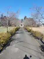 玉取神社(群馬県)