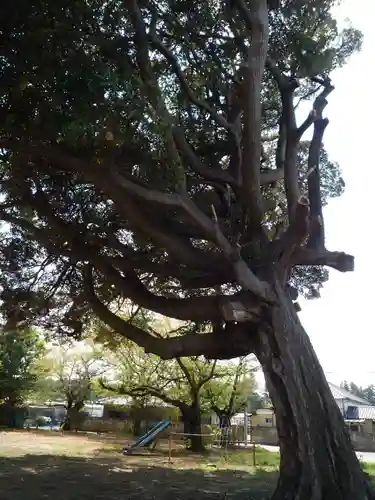 白山神社(千葉県)