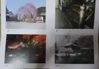 高台寺(高台寿聖禅寺・高臺寺)(京都府)