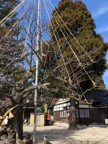 射水神社の庭園