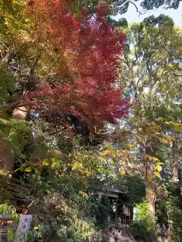平塚八幡宮(神奈川県)