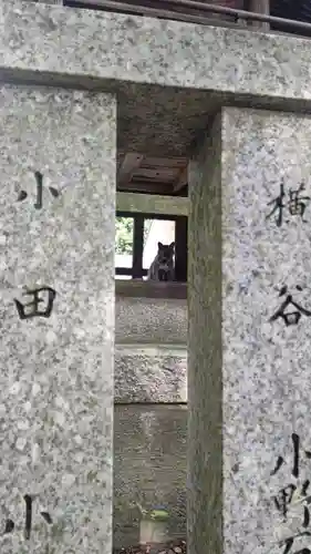 吉備大臣宮の動物