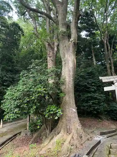 三輪神社(石川県)