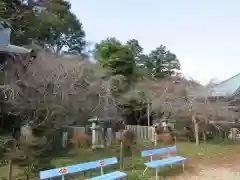 施福寺の景色