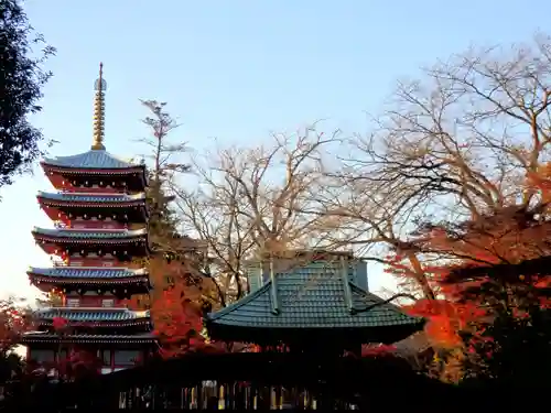 本土寺の塔