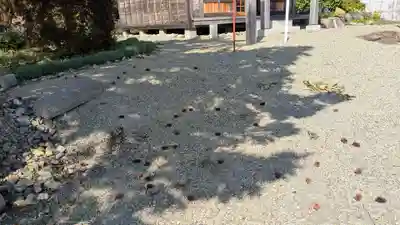 等澍院の庭園