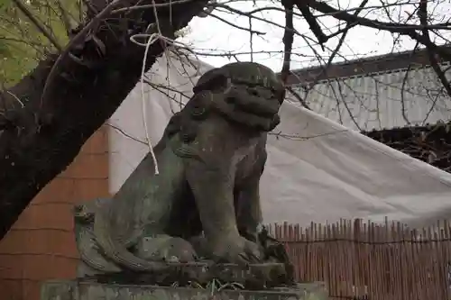 妻沼聖天山歓喜院の狛犬