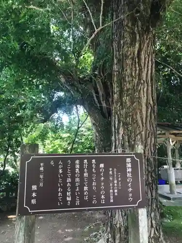 郡浦神社(熊本県)