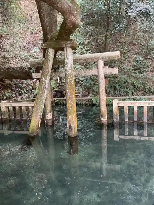 鹿島神宮(茨城県)