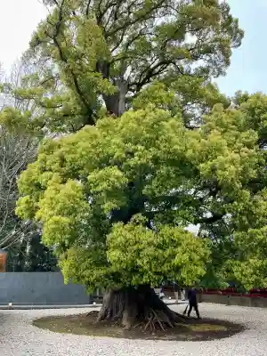栄誉権現社(東京都)