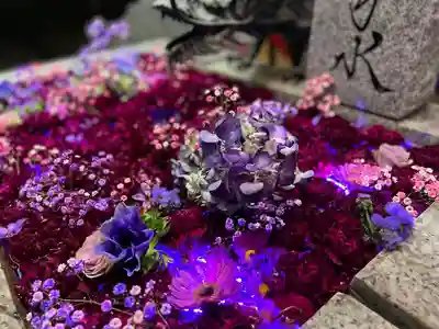 札幌諏訪神社の手水舎