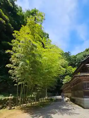 美保神社(島根県)