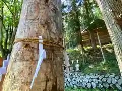 子檀嶺神社の自然