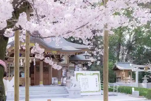 伊和志津神社の自然