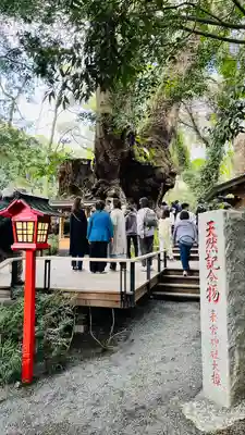 來宮神社(静岡県)