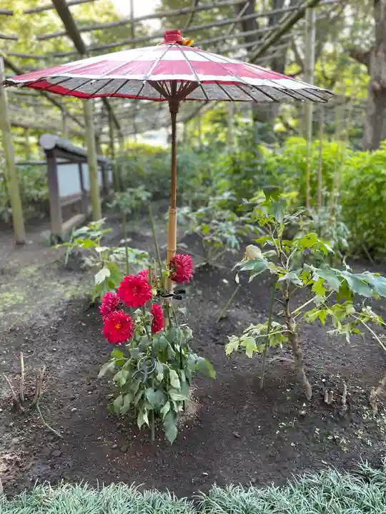 上野東照宮の自然