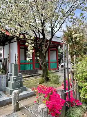養福寺(東京都)