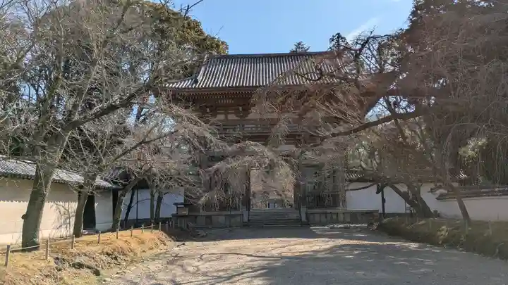 醍醐寺(京都府)