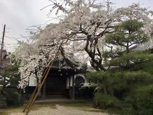 専修坊の景色