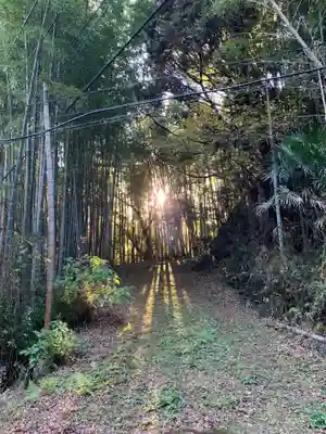面足神社(千葉県)