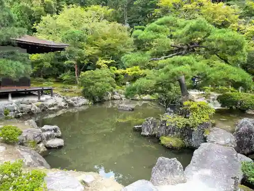 慈照寺（慈照禅寺・銀閣寺）の庭園