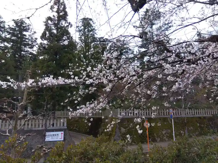 神明社(福井県)