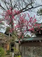 白幡天神社(千葉県)