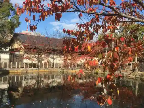 四天王寺の庭園